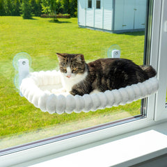 PAWRUSH cat window perch with four suction cups for secure lounging