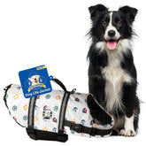 Paws Aboard dog life jacket dog-wearing for secure water play and buoyancy