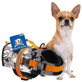 Paws Aboard dog life jacket front grey-camo XX-Small for safer swimming and visibility.