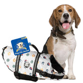 Paws Aboard dog life jacket front view showing visibility and fit