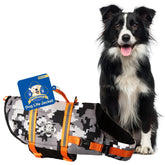 Paws Aboard dog life jacket gray camo orange front view promotes safer aquatic outings