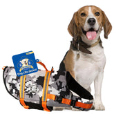 Paws Aboard dog life jacket close-up showing reflective strips for safer visibility at dusk.
