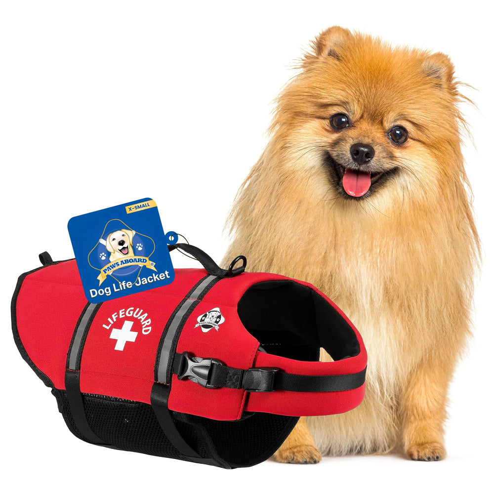 Paws Aboard front view dog life jacket showing safety-friendly design for water fun.