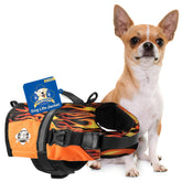 Paws Aboard racing flames xx-small front view highlights visibility for safe water play.