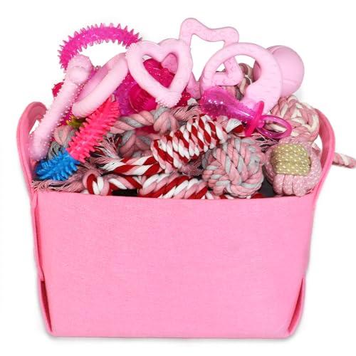 PawsAion puppy toys set bundle box for teething and bonding.
