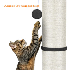 PAWSCRAT dangling balls provide interactive play during feline sessions