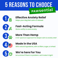 Pawsential Advanced Hemp Calming Chews on a dog couch illustrate soothing calm during visits.