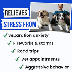 Pawsential Advanced Hemp Calming Chews label closeup highlights clean ingredients and no artificial additives.