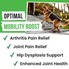 Pawsential hemp treats senior dog: senior-friendly joint support treats promoting comfort and flexible movement