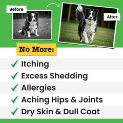 Pawsential Wild Alaskan Salmon Oil pour highlighting premium pet oil