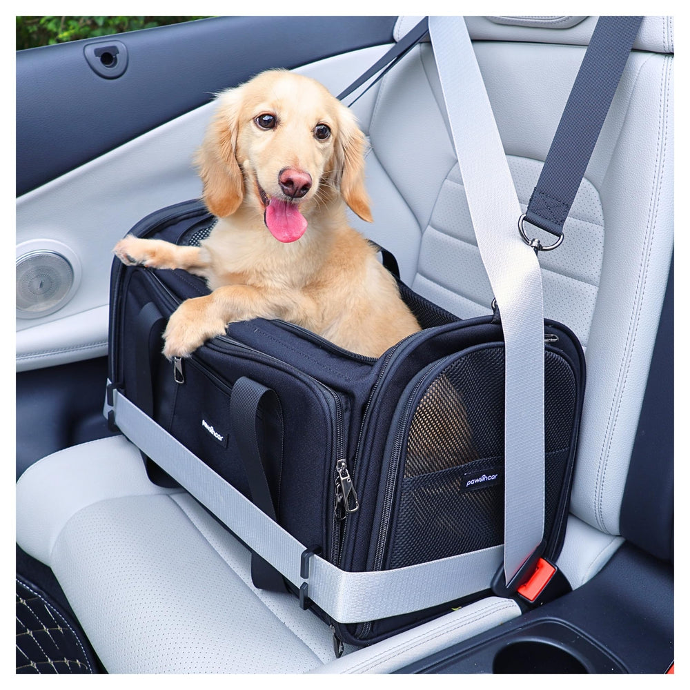 PawsInCar Premium Cat Carrier expandable side view for easy travel