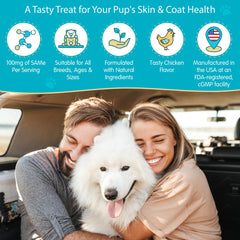 Pawsitive SAM-e dog bacon chews support cognitive function in pets.