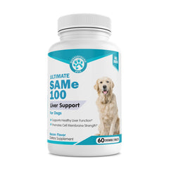 Pawsitive Same-100 liver support bottle promotes canine wellness.