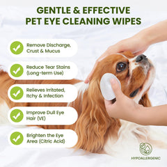 PawSono Eye Wipes dual-texture sheets provide deep cleaning without irritation.
