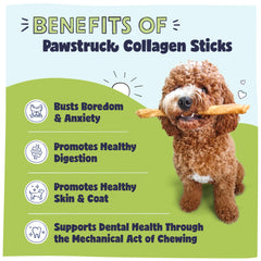 Pawstruck beef collagen sticks dog chewing—satisfies chew cravings