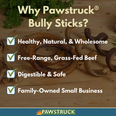 Pawstruck bully stick rings low-odor appearance shows premium beef chew.