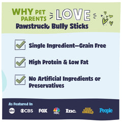 Pawstruck dog chewing small-dog action demonstrating chew time