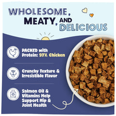 Pawstruck grain-free dog food served in a bowl for all breeds
