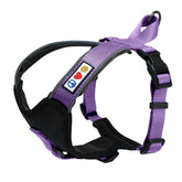 Pawtitas Reflective Dog Harness on dog enhances nighttime visibility