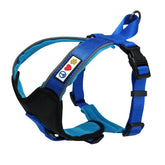 Pawtitas Reflective Harness XXS in blue for night visibility during walks