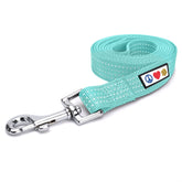 Pawtitas teal dog leash 6ft side view highlights durable nylon weave for medium to large dogs