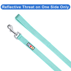 Pawtitas teal dog leash hardware close-up shows sturdy nickel fittings for lasting use