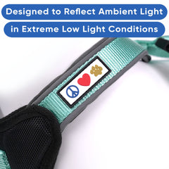 Pawtitas vest teal reflective straps in low light for safer evening strolls