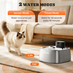 Pawtners 108oz capacity fountain for multi-pet homes