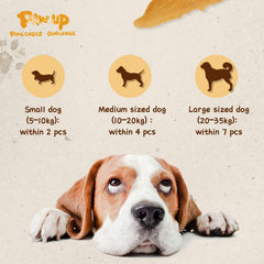 PAWUP Chicken Jerky Crisp Flakes used as a training reward during sessions