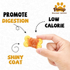 PAWUP pumpkin-wrapped chicken biscuit texture, chewy and low-fat dog snack