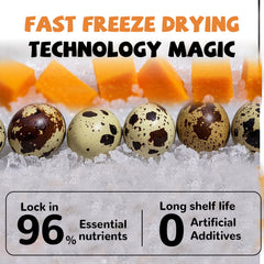 PAWUP high-protein quail egg yolk snack provides natural energy.