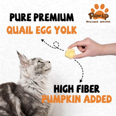 PAWUP pumpkin added fiber supports digestion and gut comfort for pets.