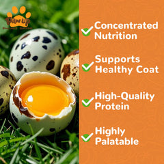 PAWUP quail yolk treats crumbled over kibble for flavor.