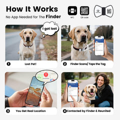 PawView QR/NFC dog tag enables fast location alerts for reunions