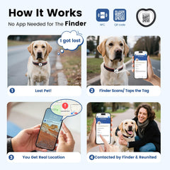PawView QR/NFC tag ready for quick location alerts with scan.