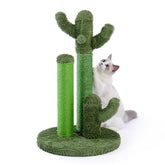 PAWZ Road cactus scratcher base offers a stable perch for climbing.