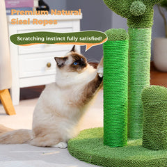 PAWZ Road cactus scratcher hanging toy enhances interactive play and chase.
