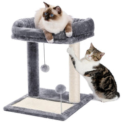 PAWZ Road cat scratching post bed top perch offers cozy resting for kittens