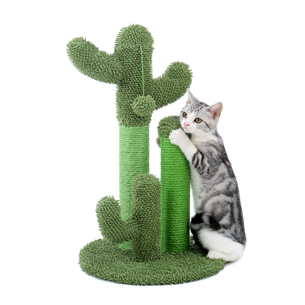 PAWZ Road cactus base supports stable scratching and playful behavior