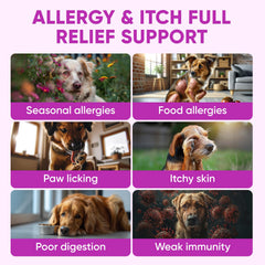 Pawzitive Pets dog allergy chews bottle label close-up emphasizes omega-3 skin and coat support.