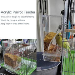 Paxlkuao Acrylic Parrot Feeder is transparent for easy monitoring