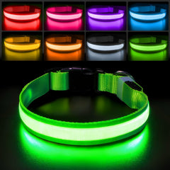 PcEoTllar LED dog collar showing colorful RGB glow for enhanced nighttime visibility