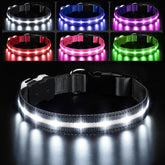 PcEoTllar light-up dog collar front view for high night visibility
