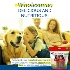 PCI Bully Sticks 4ct 12in in use, ideal for aggressive chewers during play