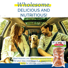 PCI Cow Bones dental chew texture closeup, supports chewing sessions.