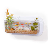 Pcmursal wall-hanging fish bowl closeup highlighting frameless design for modern decor.