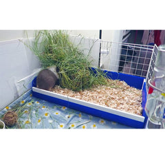 pcprbfk Midwest Guinea Pig Kitchen Area Assembly shows quick, secure setup