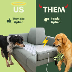 PEACHTREE PET USA-made polycarbonate material emphasizes durability for long-lasting use.