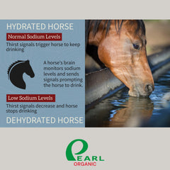 Pearl Organic salt lick on rope for deer highlights long-lasting nutrition.