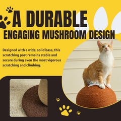 PECHVINO Shiitake pompom toy engages indoor cats in play